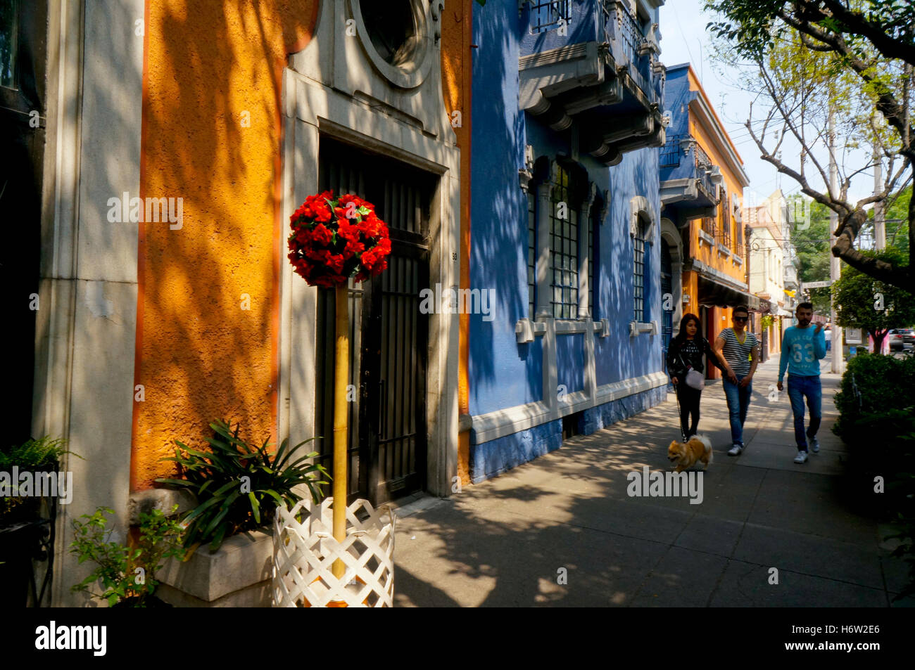 Colima street shops and homes in the Roma neighborhood of Mexico City