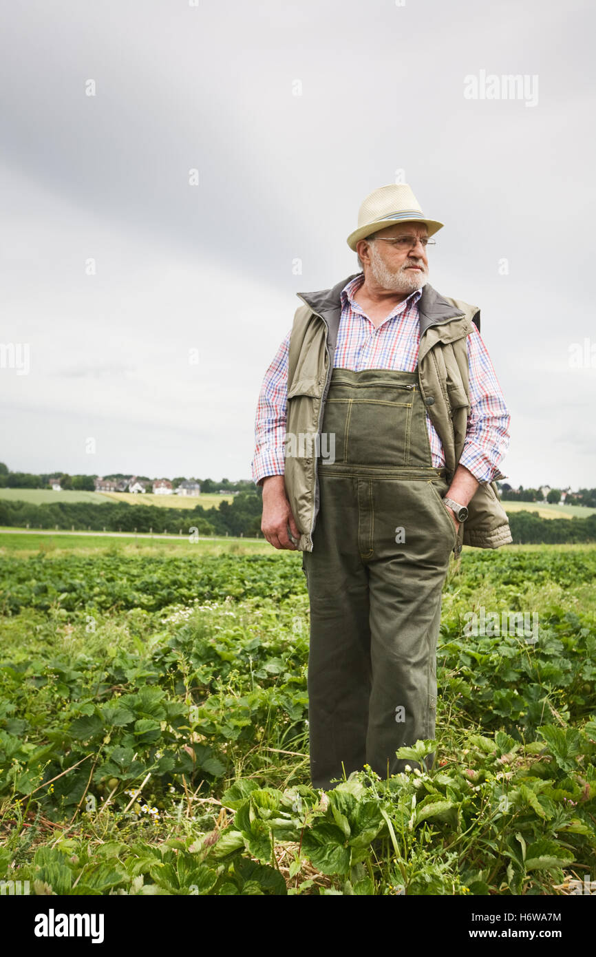 Old people hi-res stock photography and images - Alamy
