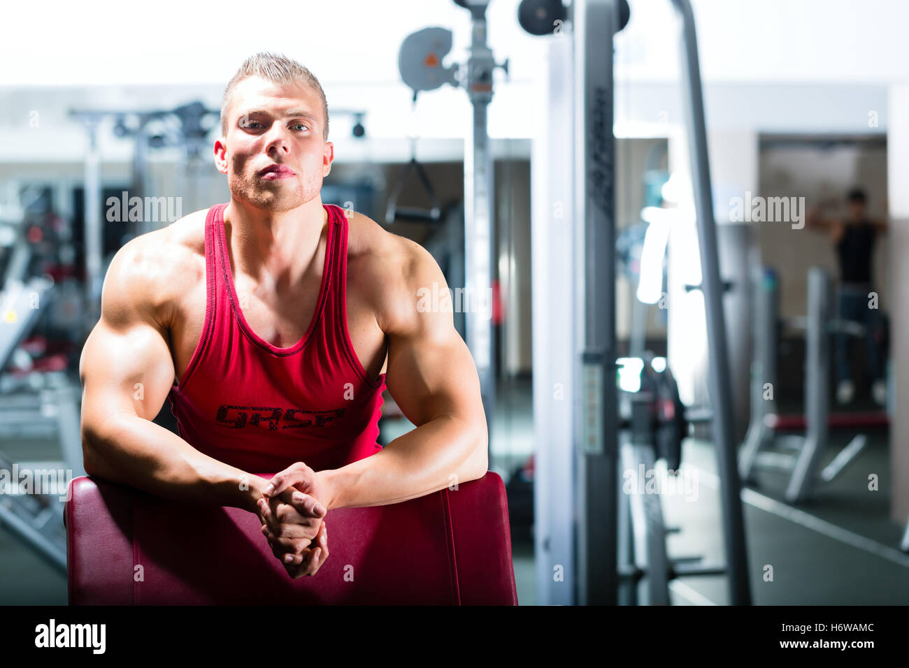 bodybuilders or trainer at the gym Stock Photo