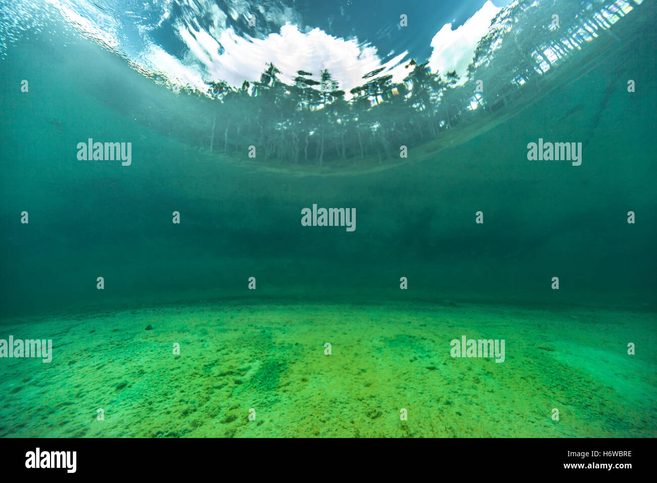 alpines diving - sameranger lake Stock Photo