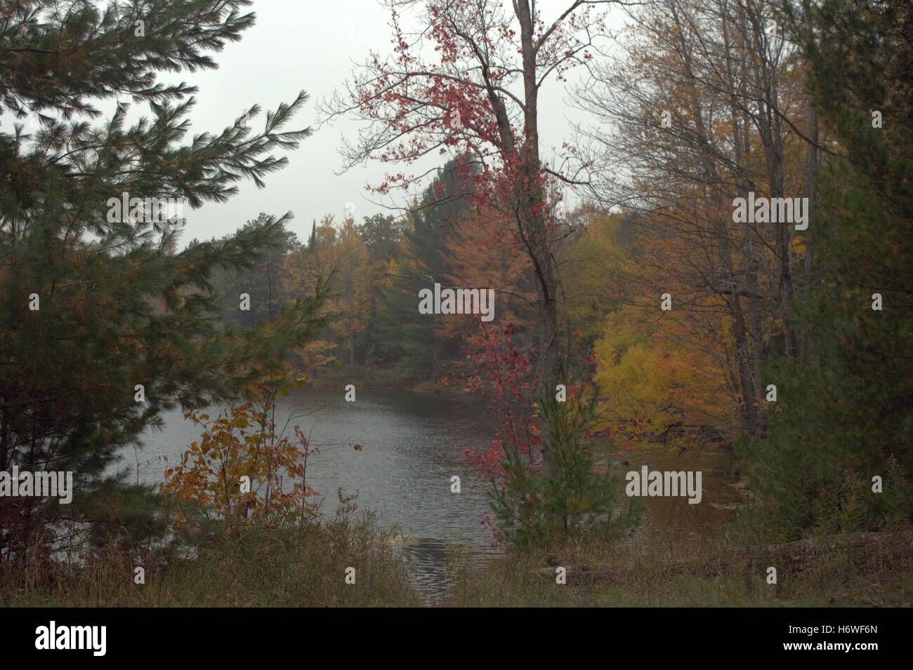 The Old Fishing Spot at Loon Lake in Fall Stock Photo