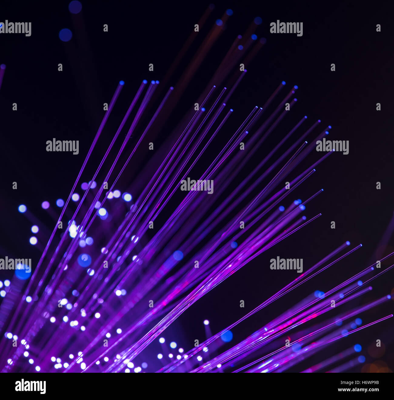 fiber optical network cable Stock Photo - Alamy