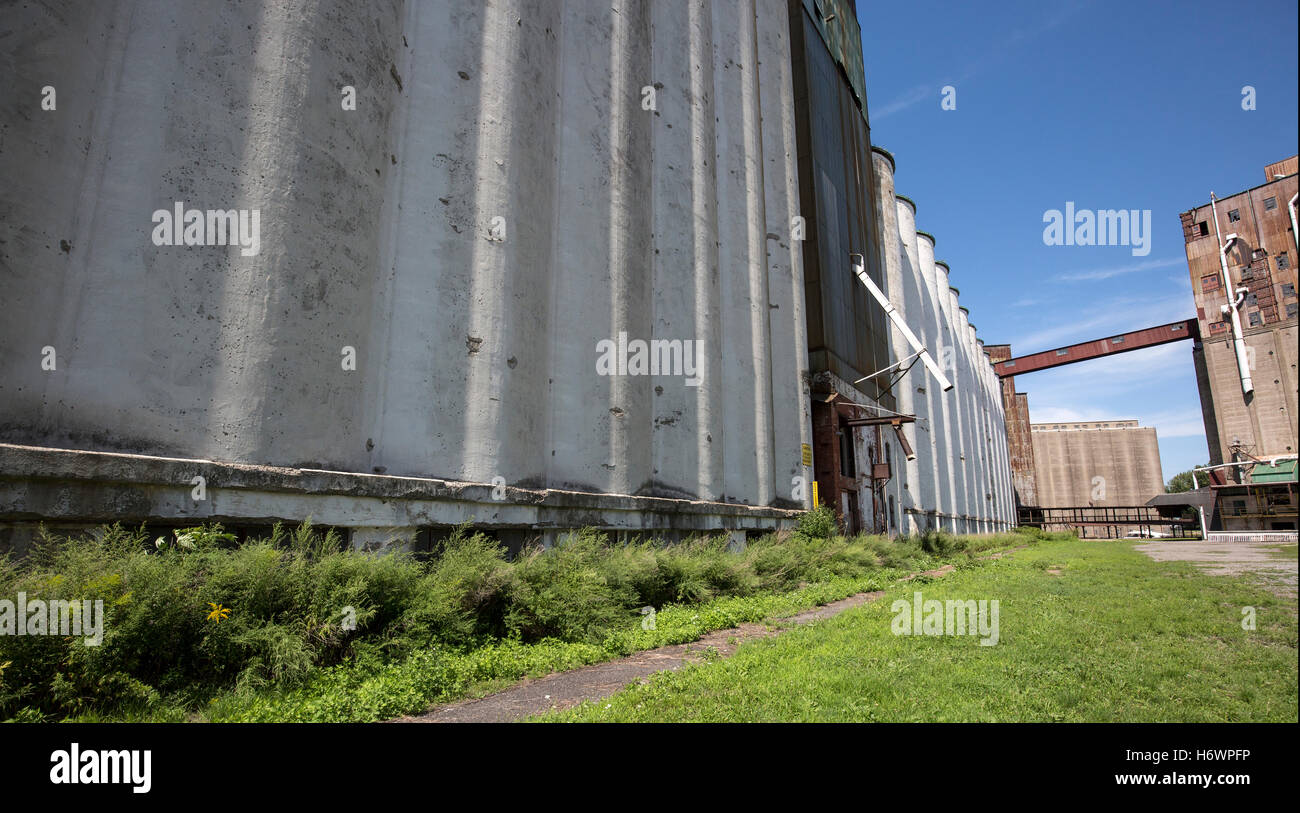 Old grain silos and field, Silo City, Buffalo New York. Stock Photo