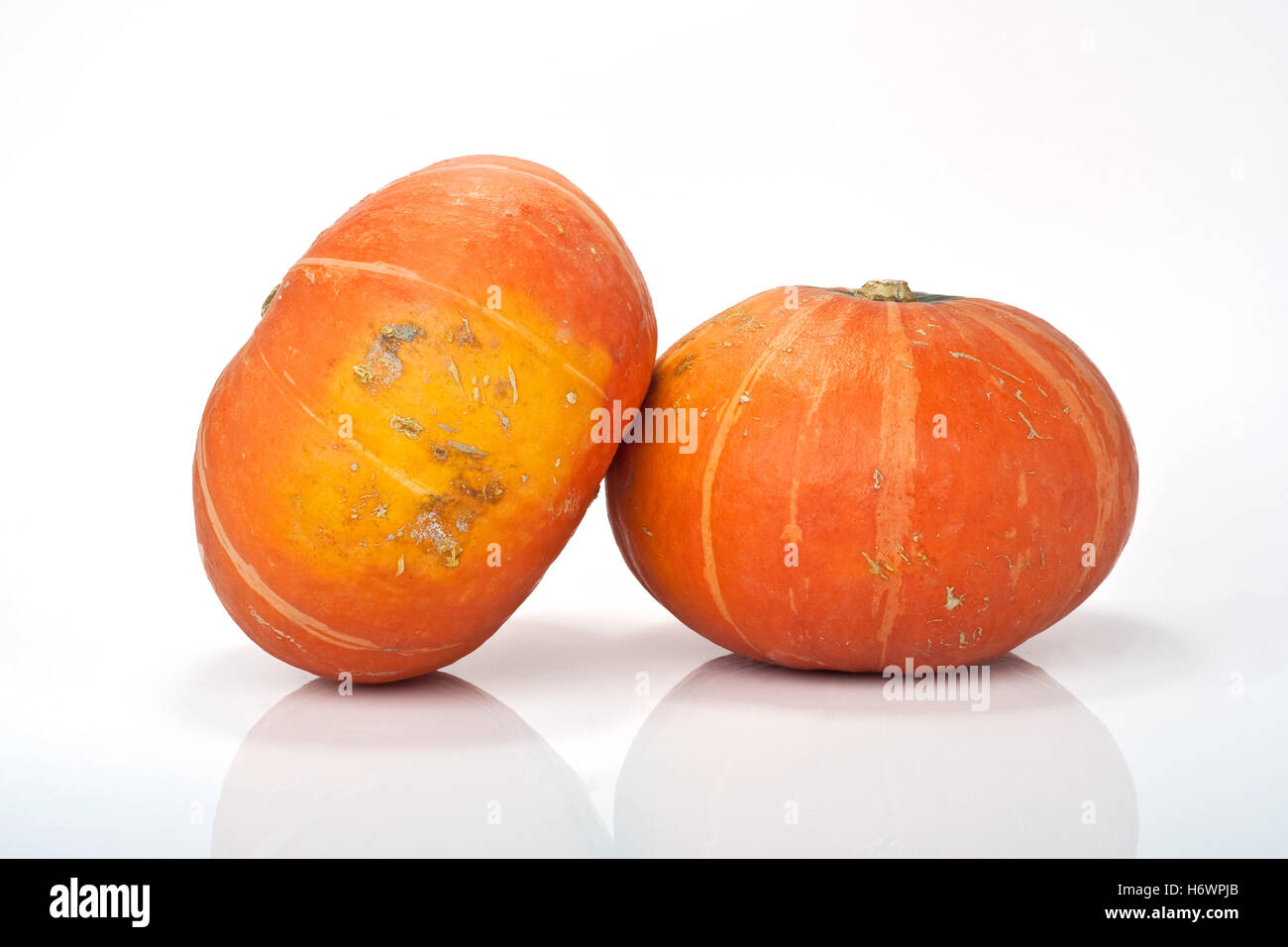 pumpkins isolated on white background Stock Photo - Alamy