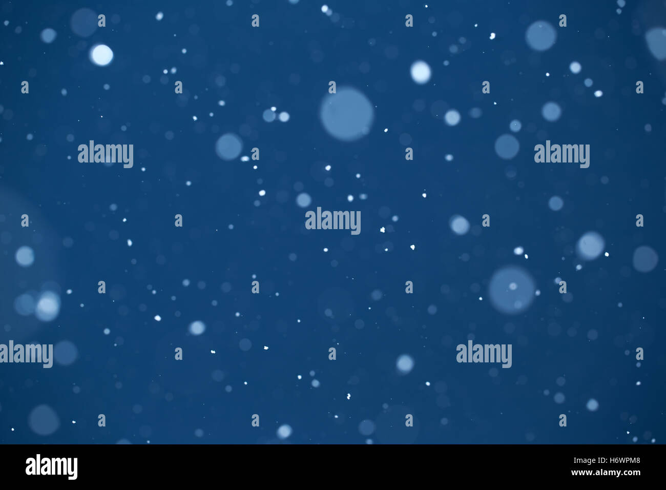 Falling Snow On The Blue Background Stock Photo