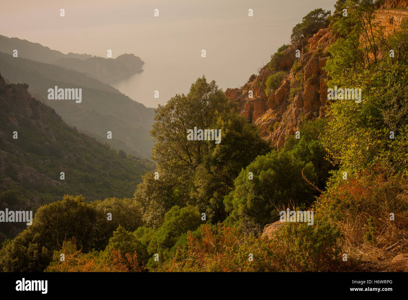 The cliffs of the Calanques de Piana at sunset, in Corsica, France Stock Photo