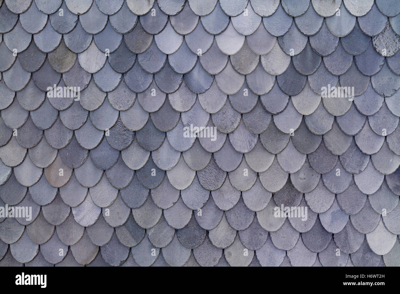 Norwegian grey slate roof shingles Stock Photo