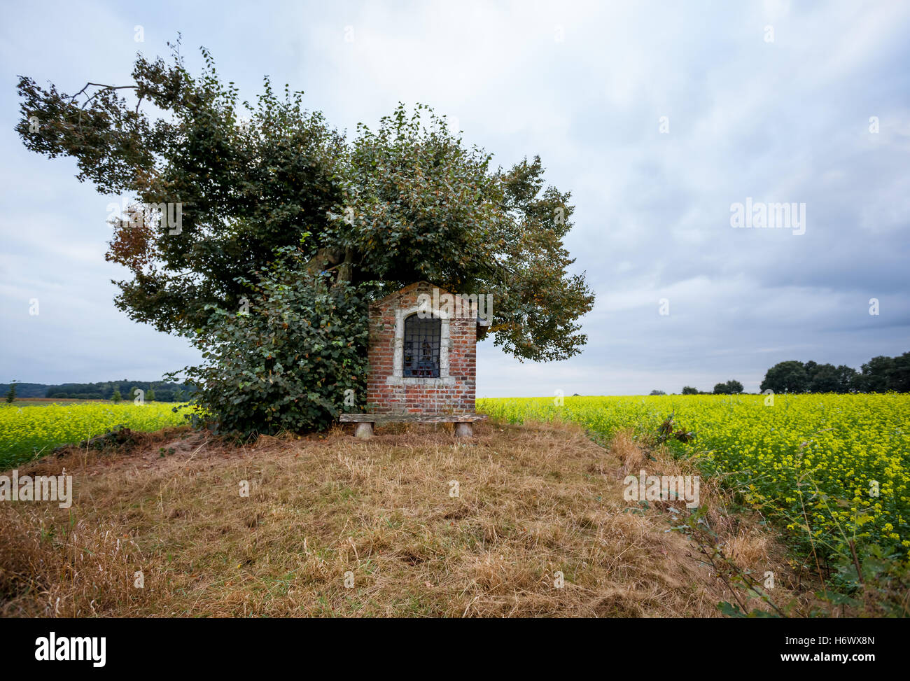 on land with yellow flowers, there is a small chapel Stock Photo