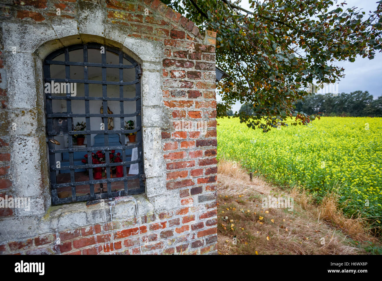 on land with yellow flowers, there is a small chapel Stock Photo