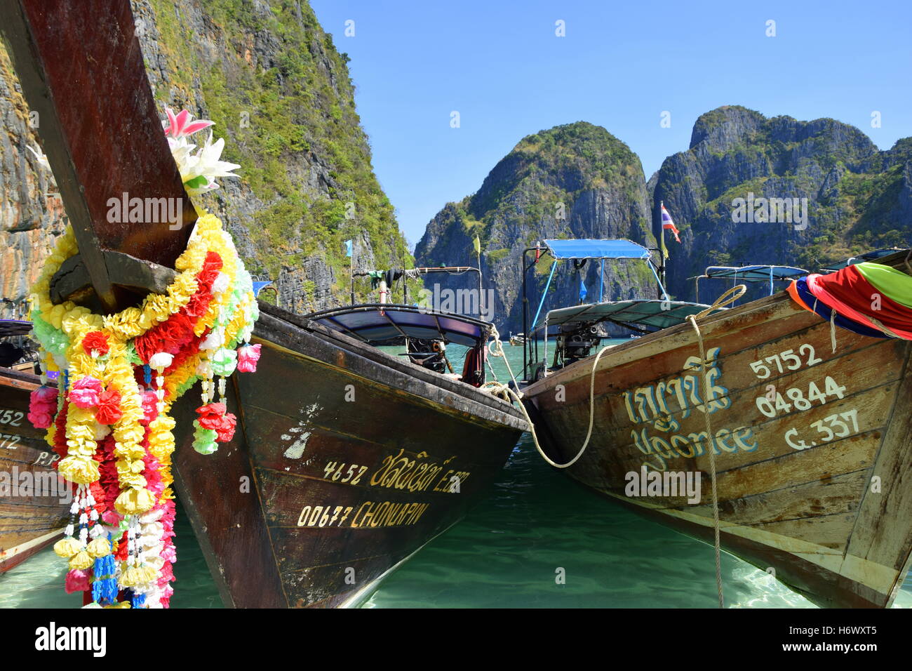 Long Tail Boats in Maya Bay Stock Photo