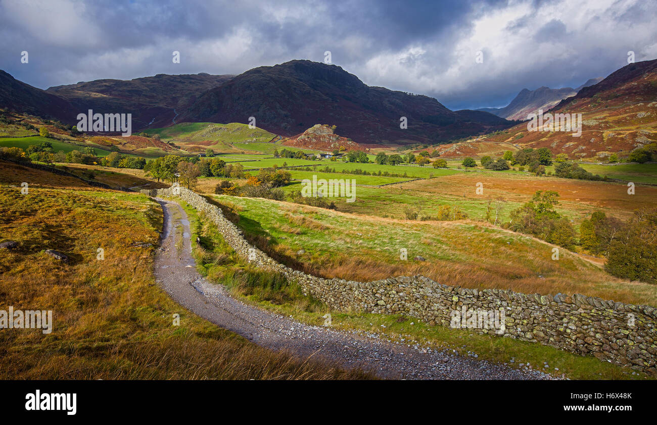 An undulating track winding through farmland in Little Langdale in the Lake District, England. Stock Photo