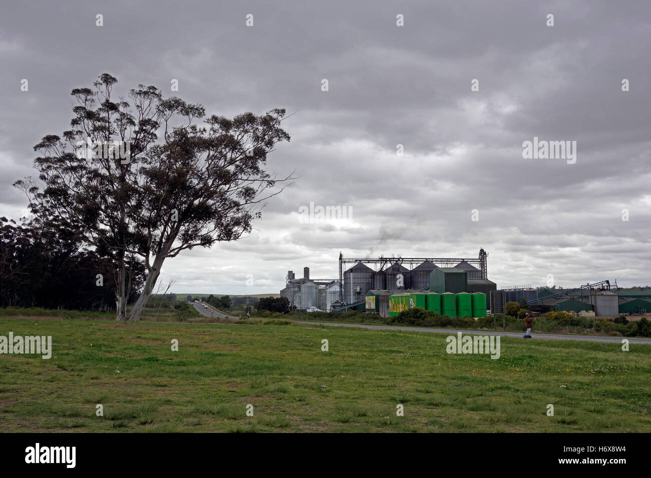 Grain silos, Swellendam, Western Cape Province, South Africa Stock