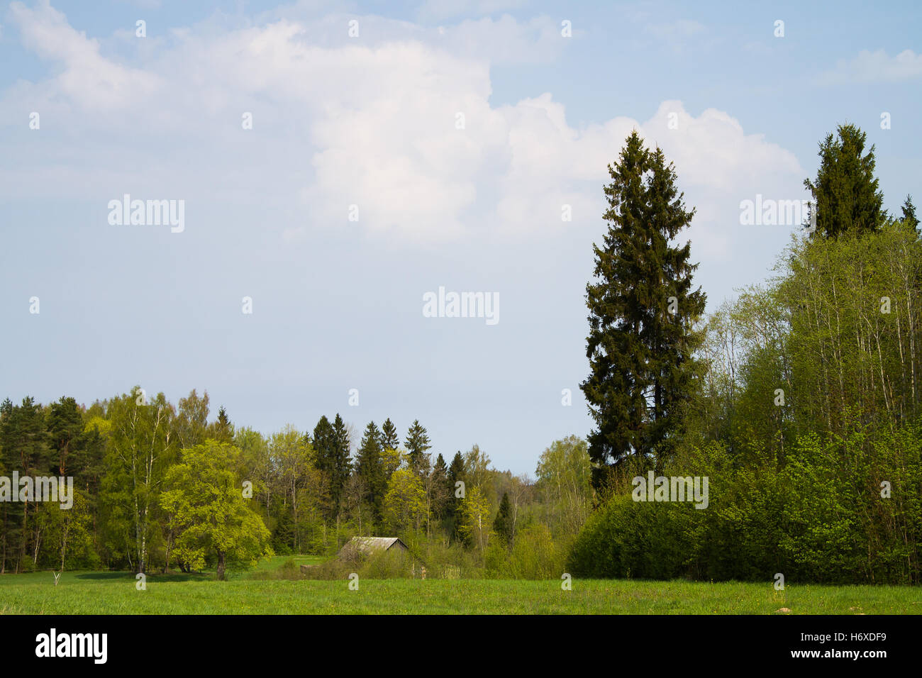 Beautiful spring landscape Stock Photo - Alamy