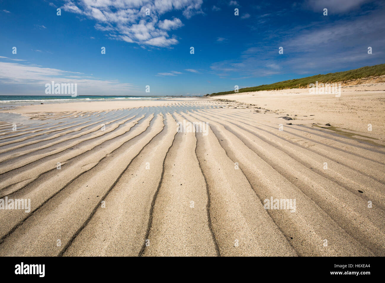 Tresness Beach; Sanday; Orkney; UK Stock Photo