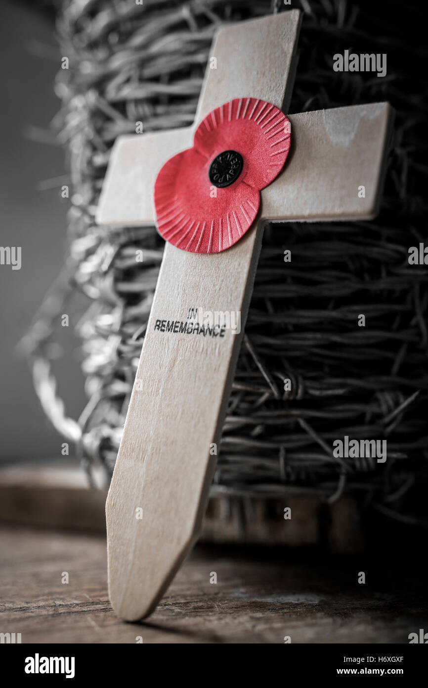 Poppy Appeal cross of remembrance and barbed wire. Stock Photo