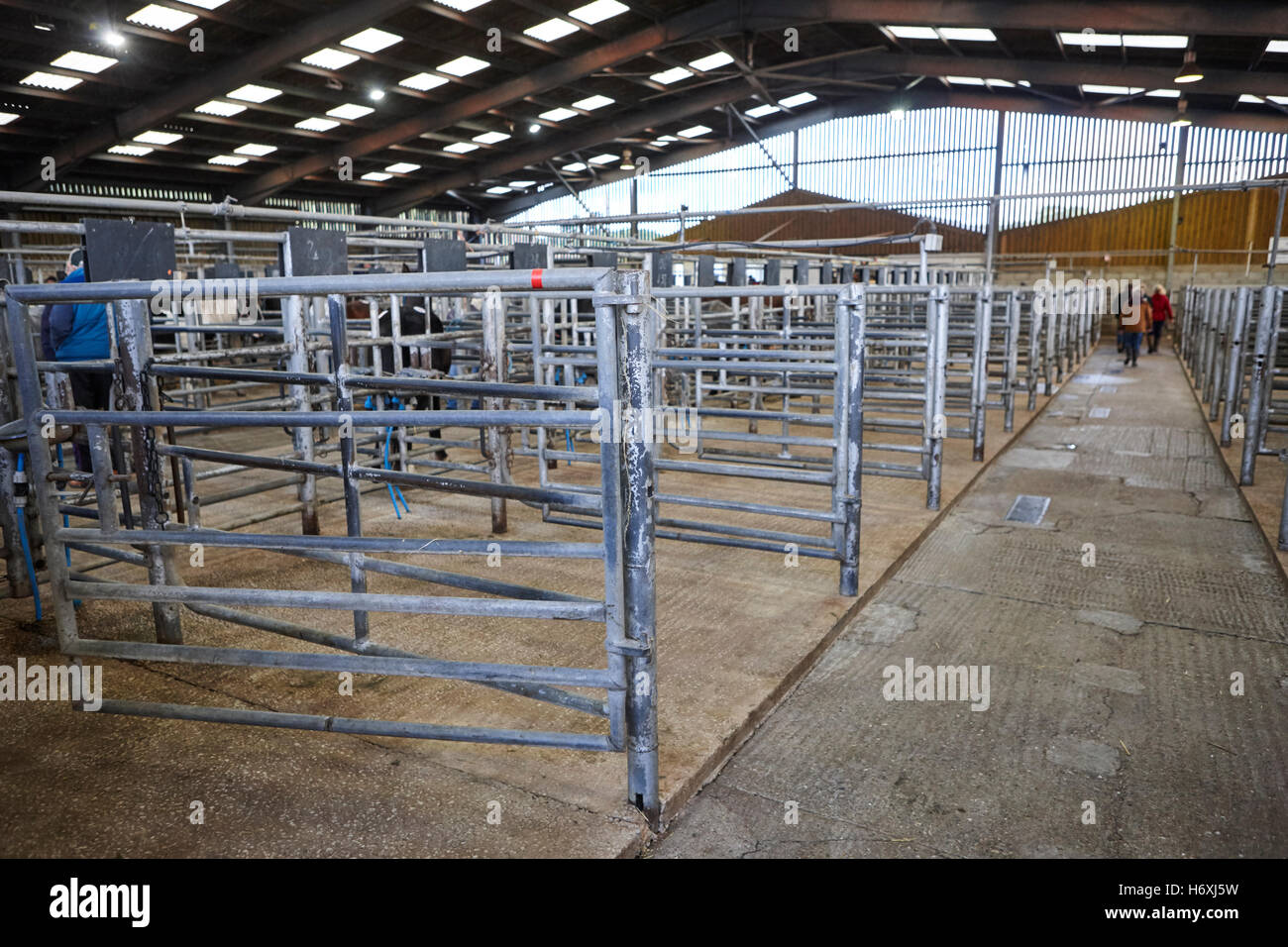 Livestock Auction House Stock Photos Livestock Auction House