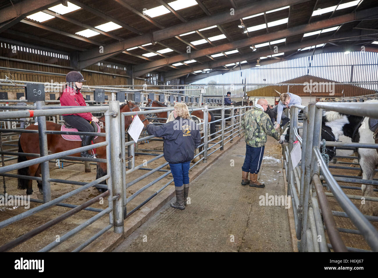 Livestock Auction House Stock Photos Livestock Auction House