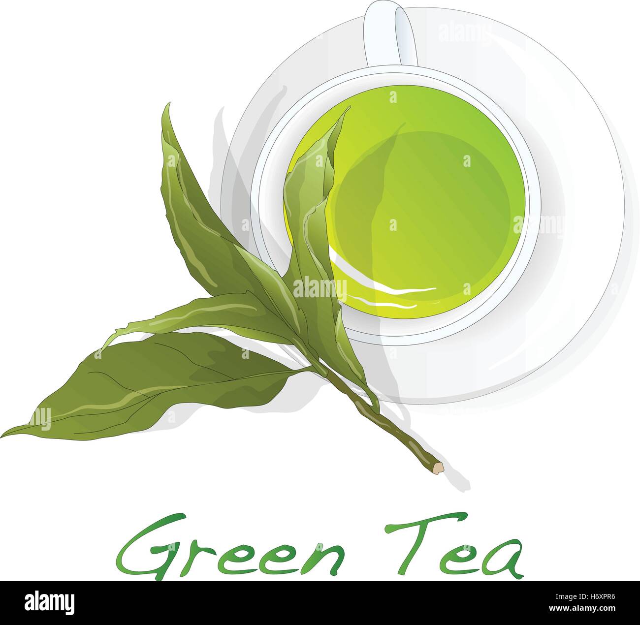 Cup of green tea with tea leaves vector illustration over white ...
