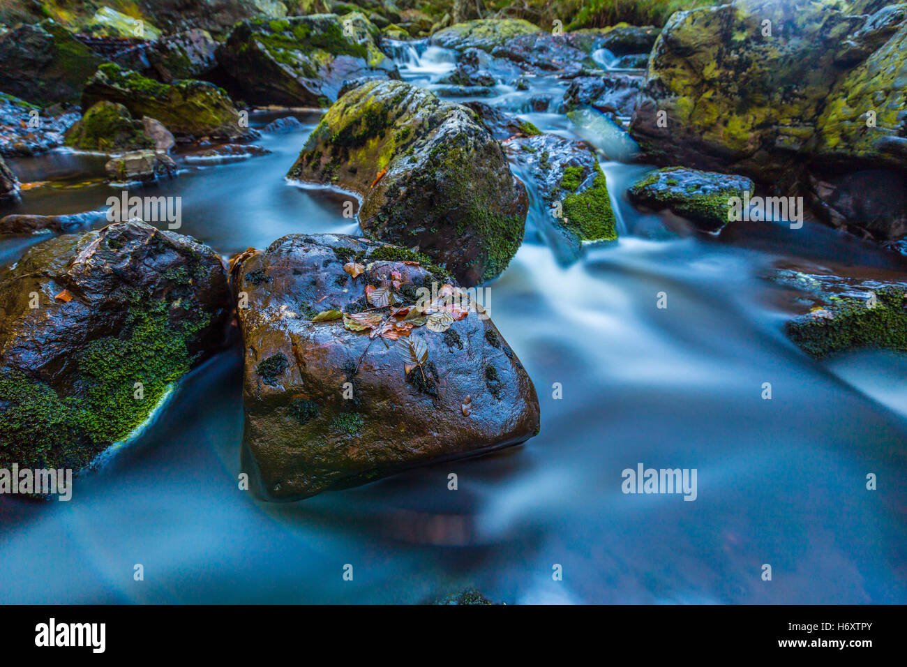 Autumnal torrents and small waterfalls in Hoegne Valley, Belgian Ardennes Stock Photo