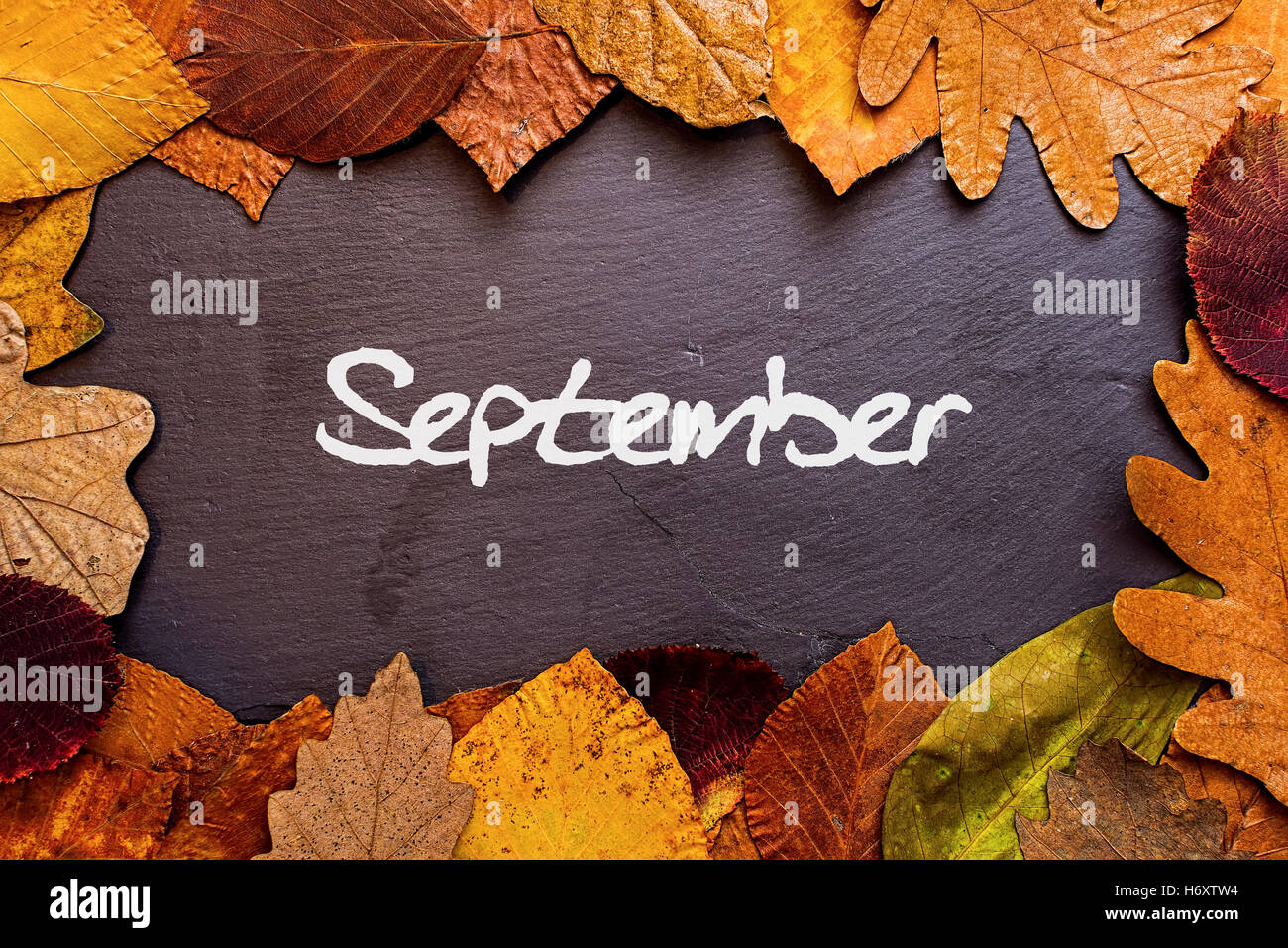 September 2023 Calendar Wallpaper  38 Cute iPhone Backgrounds