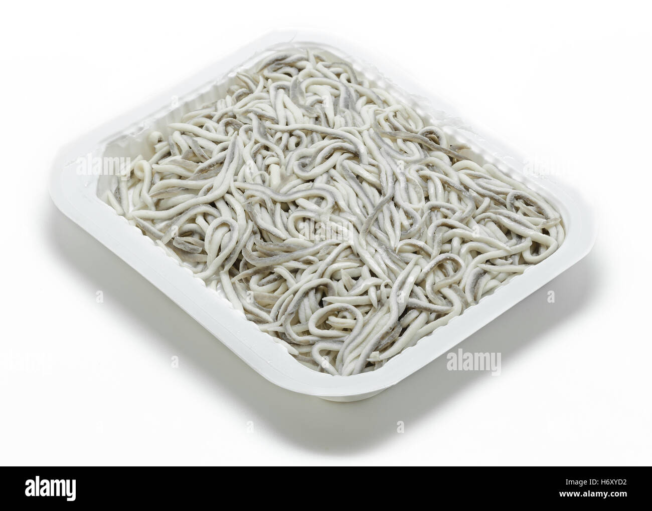 Uncooked Elvers (baby eels) in plastic tray isolated on white Stock