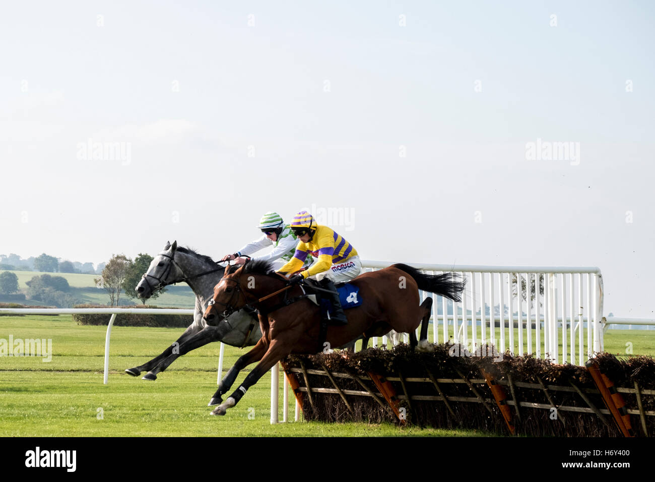 Racing over hurdles hires stock photography and images Alamy