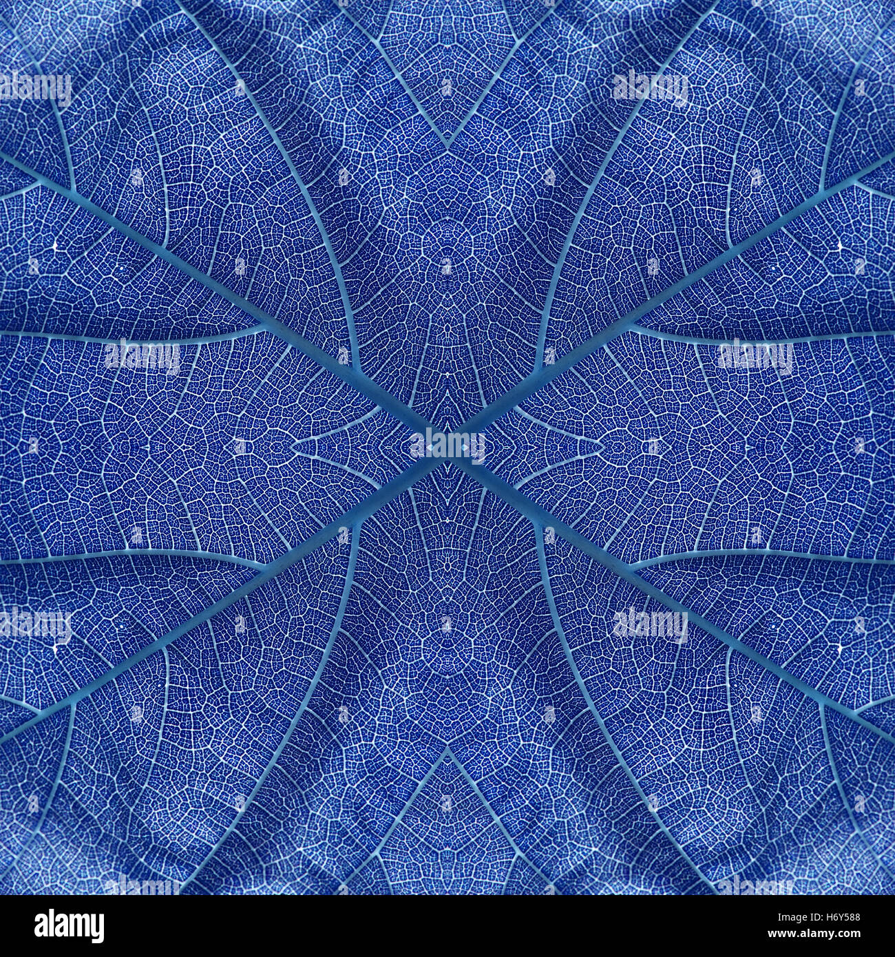 Leaf seamless pattern blue color Stock Photo