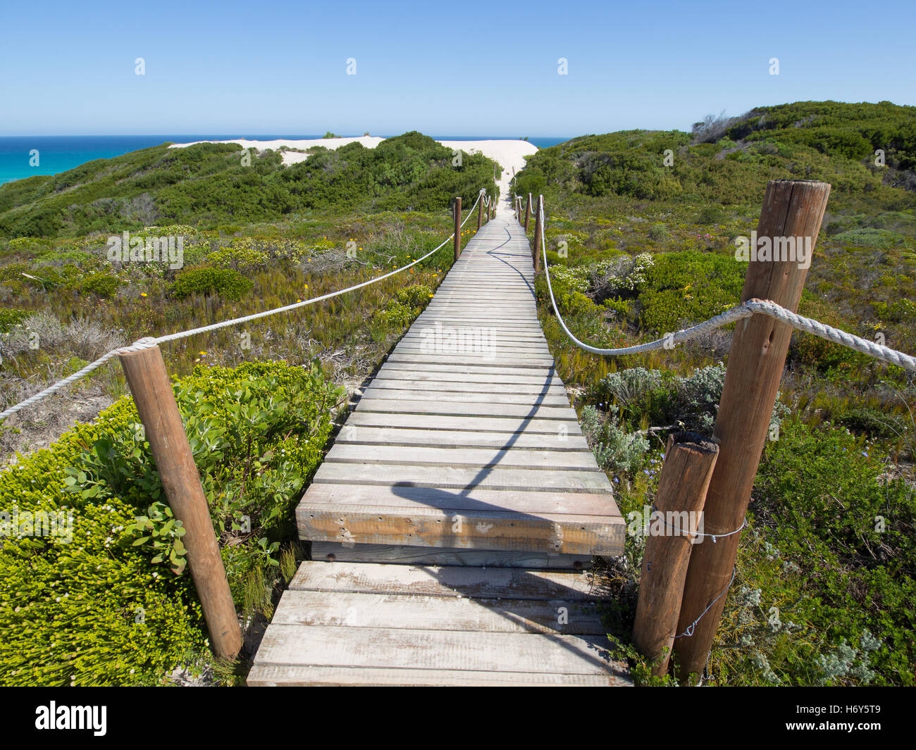 Wooden walkway through green dunes to a turquoise ocean. Taken at De Hoop Nature Reserve in South Africa. Stock Photo