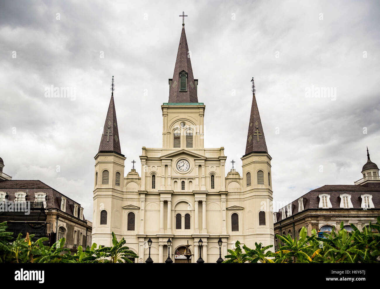 St louis cathedral new orleans hi-res stock photography and images - Alamy