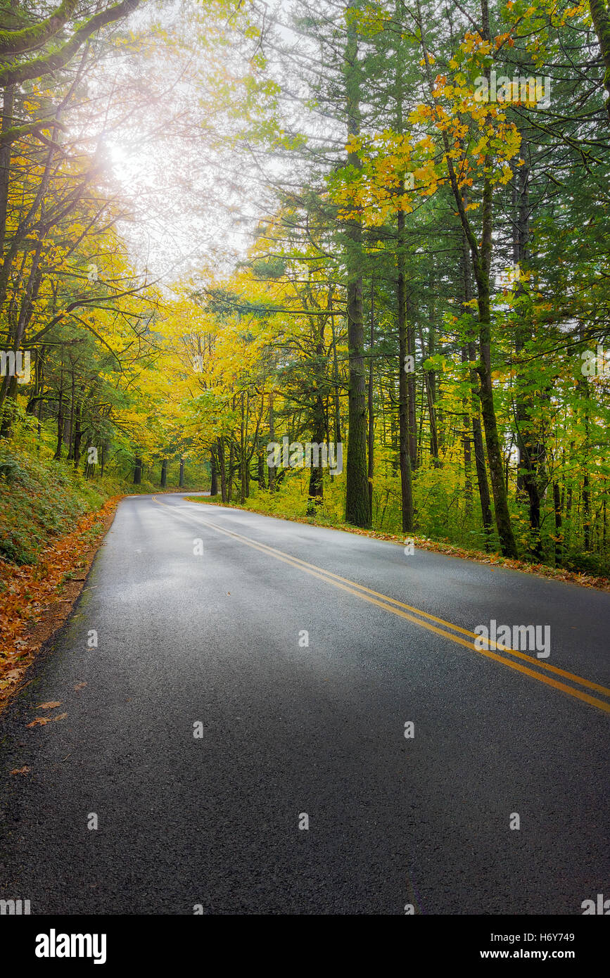 Historic Columbia River Highway at Columbia River Gorge Oregon in Fall Season Stock Photo