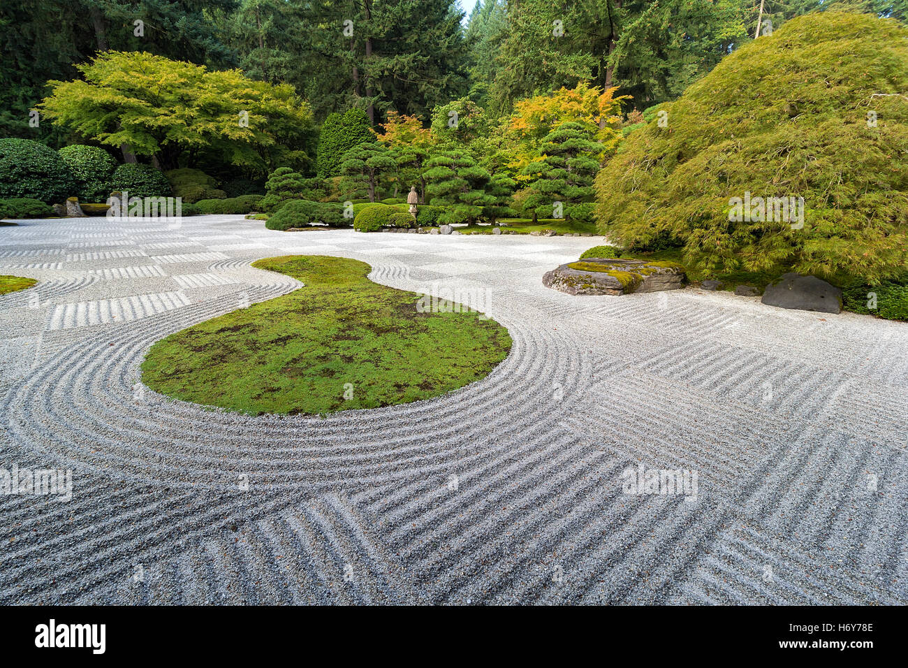 Japanese Flat Garden with Checkerboard pattern Pine Maple trees rocks and plants Stock Photo
