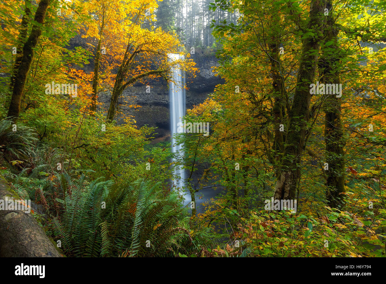 Leaf Peeping at South Falls in Silver Falls State Park in Autumn Stock Photo