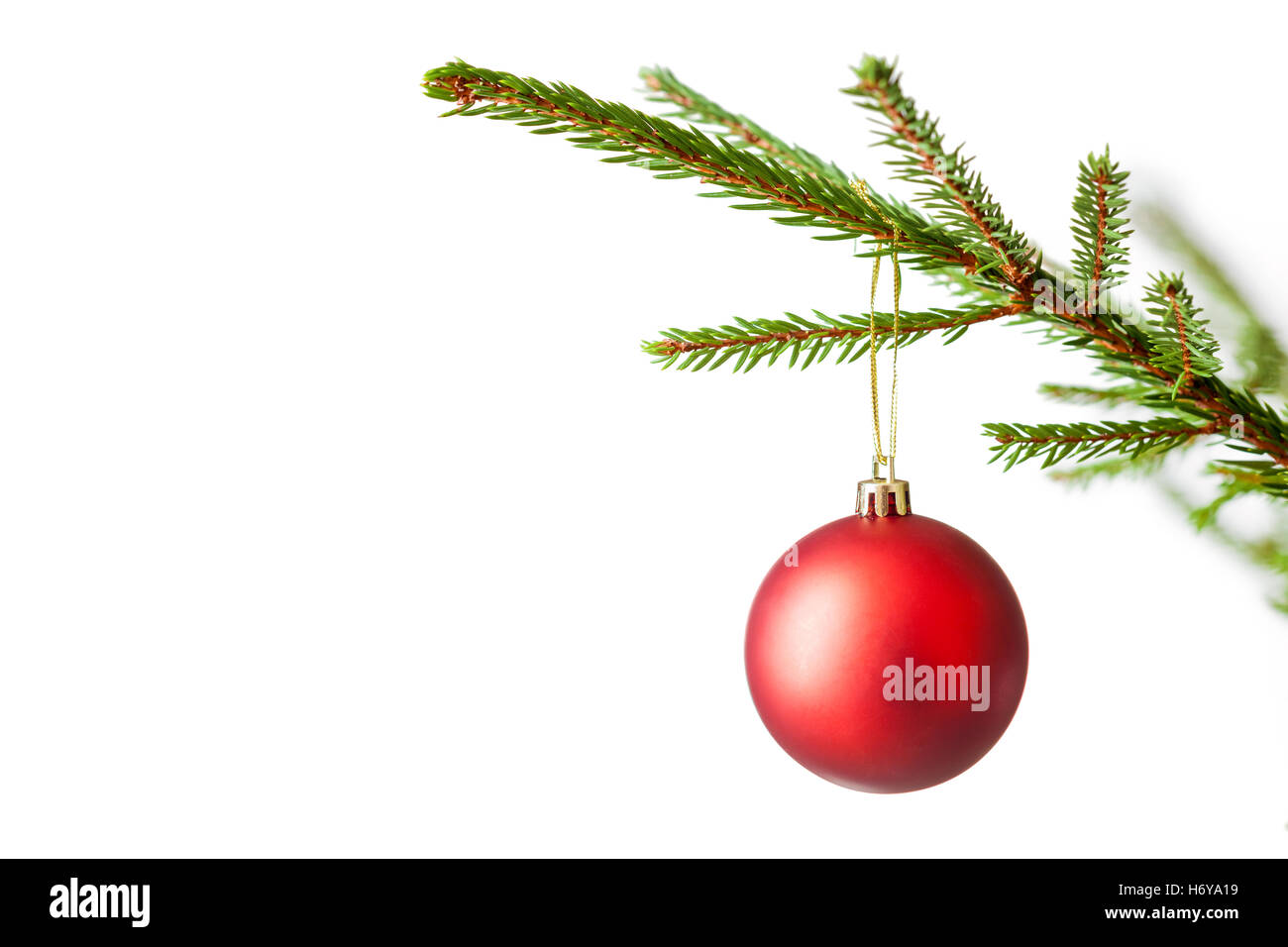 Decoration bauble on decorated Christmas tree iso Stock Photo