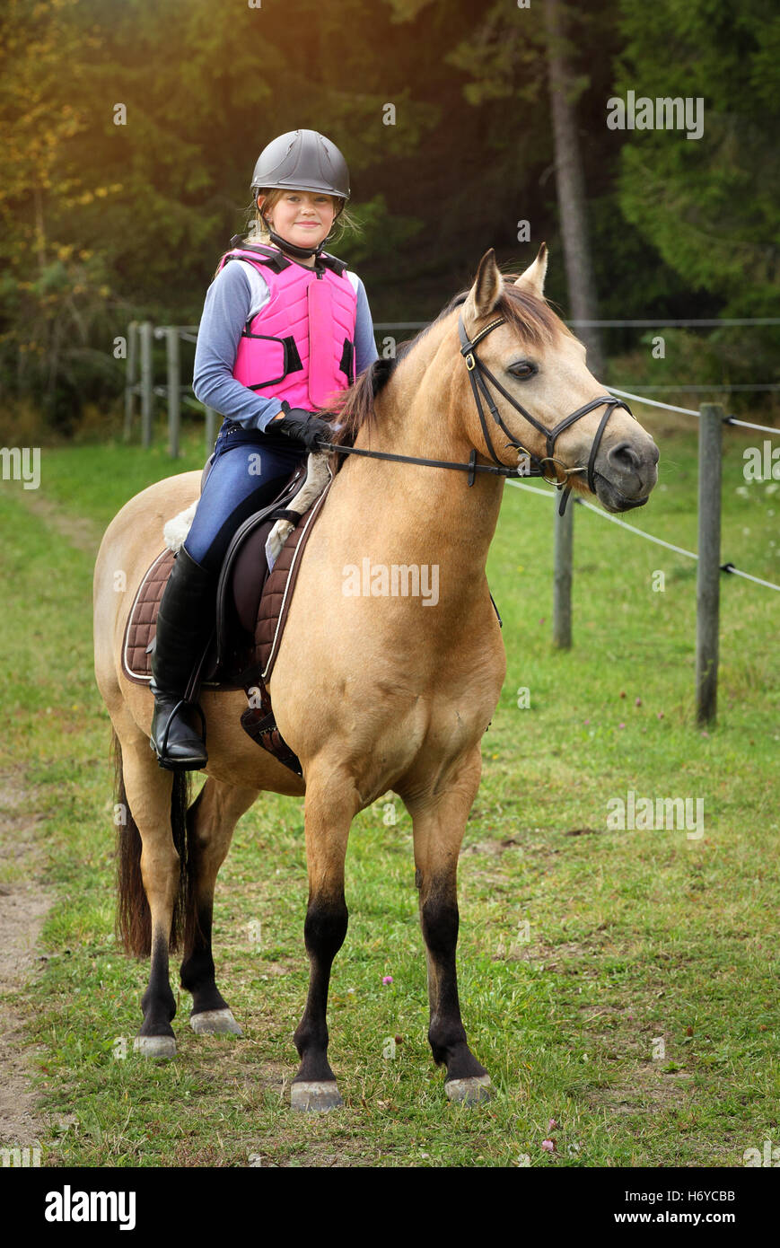 Young girl on a horse Stock Photo Alamy