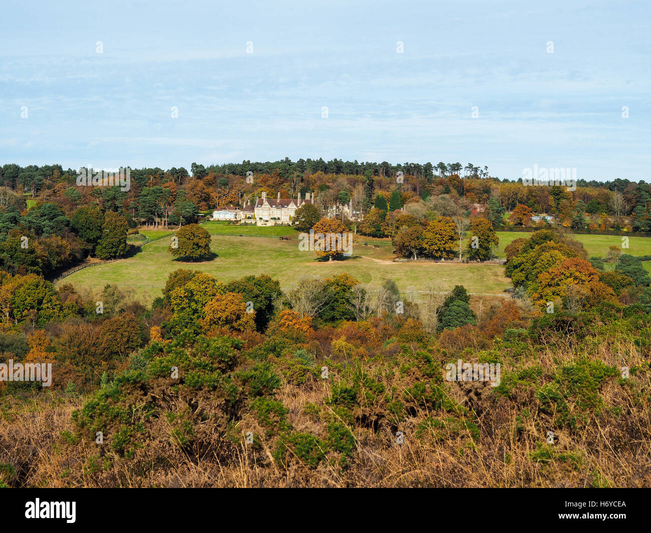 Scenic View of the Ashdown Forest in Sussex Stock Photo