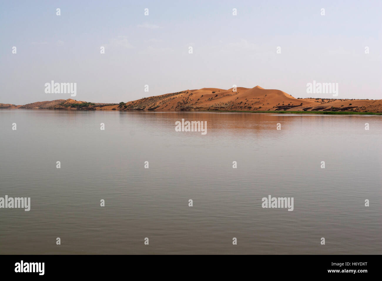 Mali Rose High Resolution Stock Photography And Images Alamy
