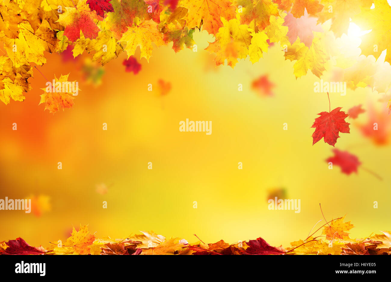 Fall wallpaper hi-res stock photography and images - Alamy