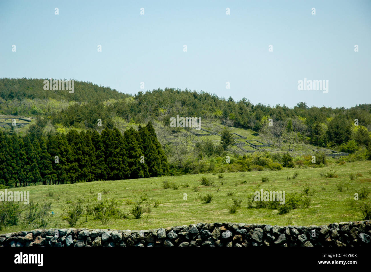 hillside grave marked with volcanic rocks. jeju (cheju) island. south korea Stock Photo