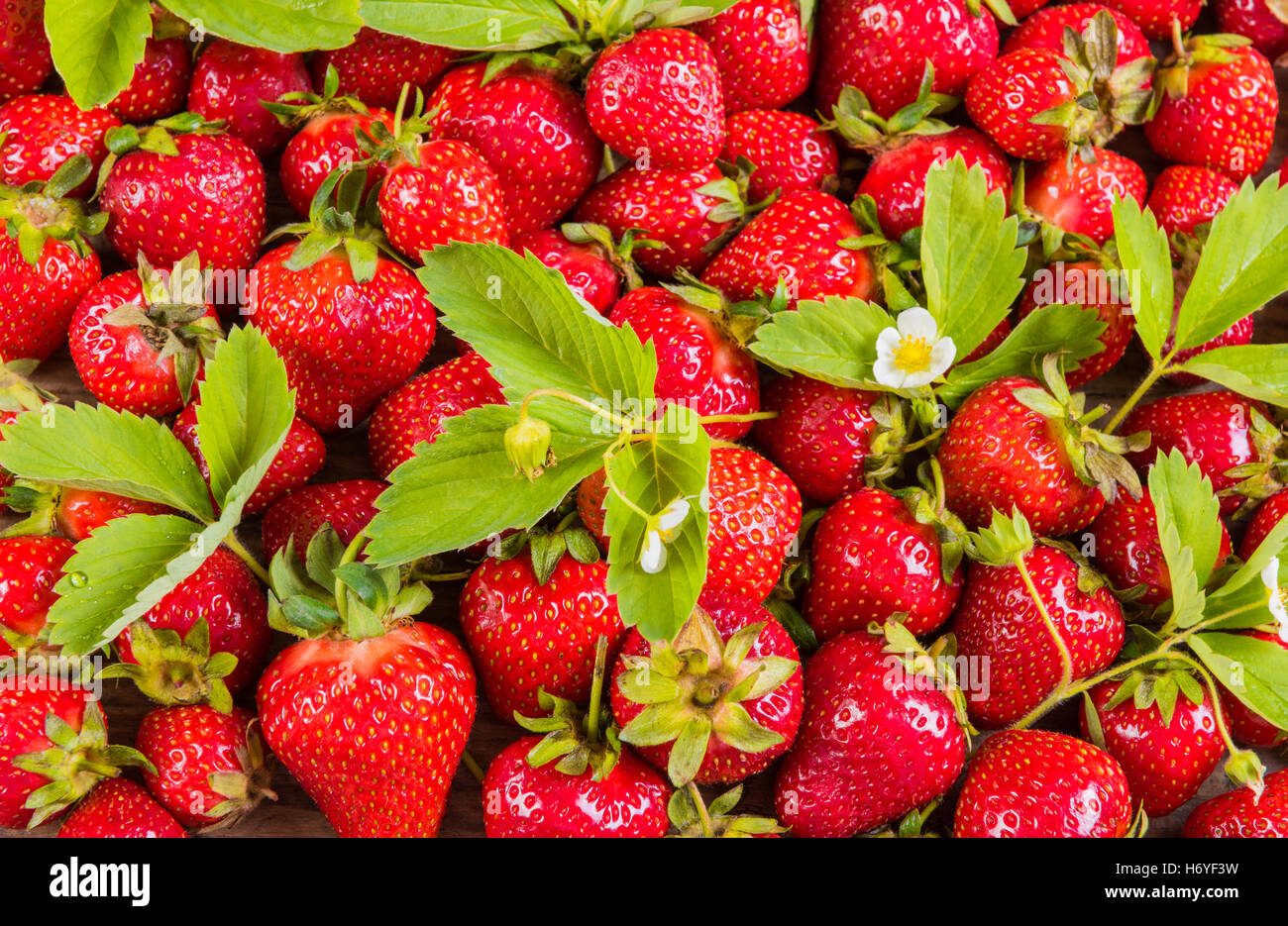 Pattern of fresh red strawberry with leaves Stock Photo