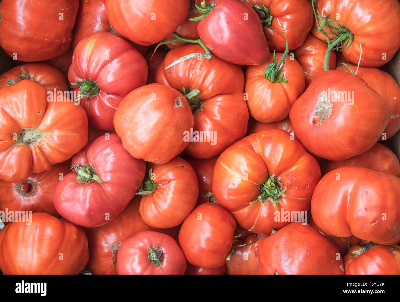 A group of fresh red tomatoes, full frame Stock Photo - Alamy