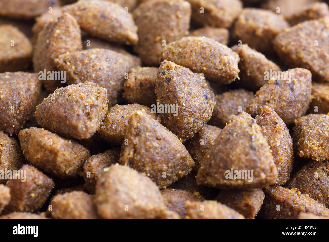 Detail of dry brown pet food. Selective focus. Stock Photo