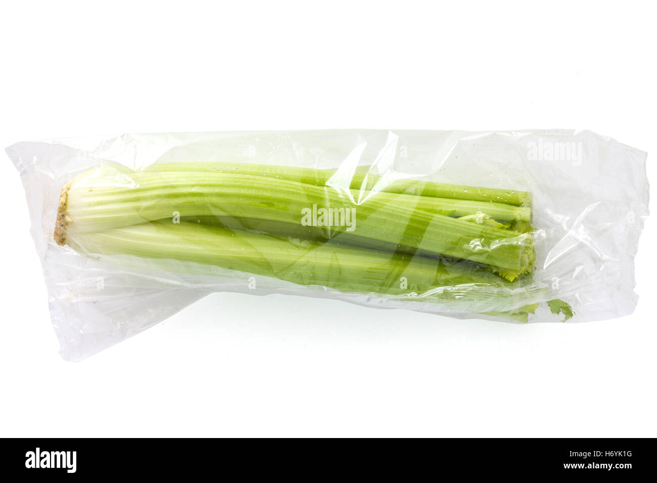 Whole celery sealed in a clear plastic bag. Stock Photo