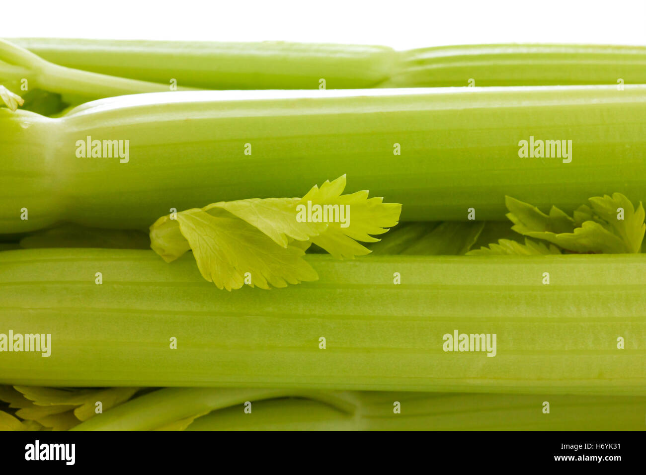Celery stems close up Stock Photo