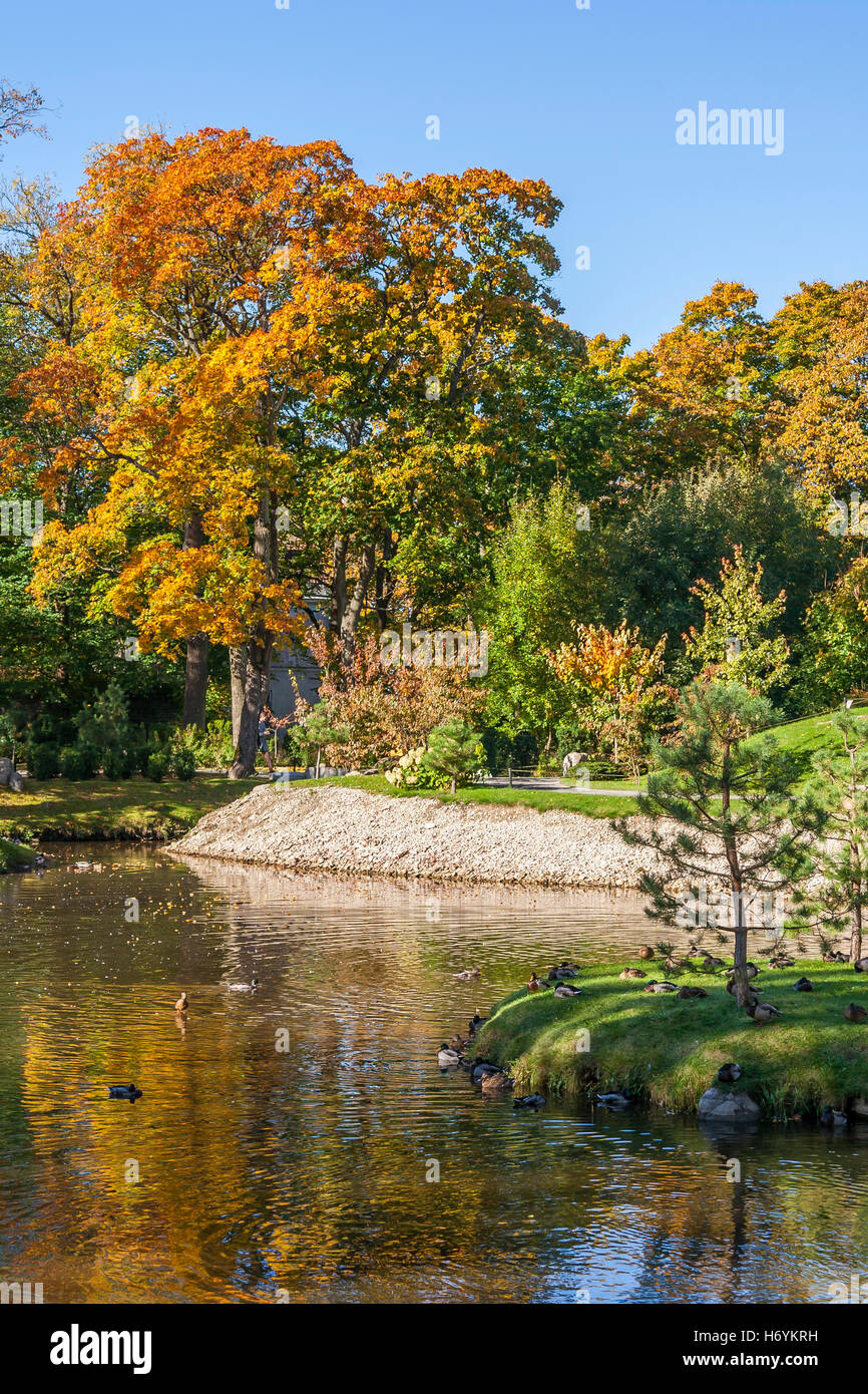 Autumn pond hi-res stock photography and images - Alamy