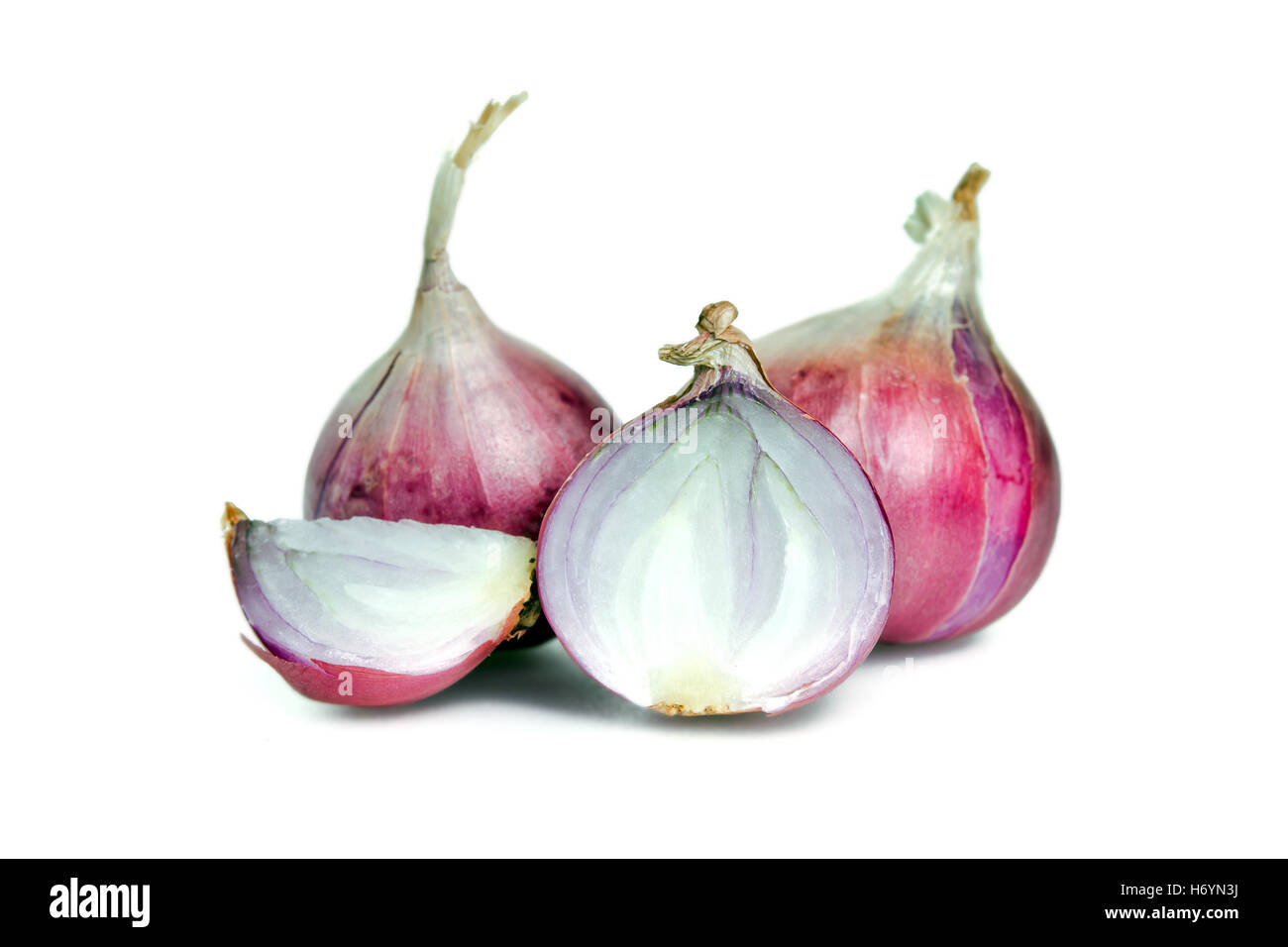 Shallot (also named as ascalonicum, Allium stipitatum, Allium