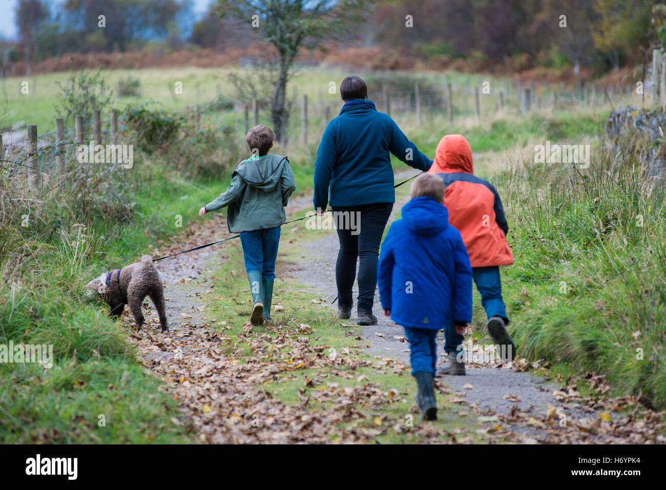 3 children and an adult walking a dog on a country lane Stock Photo