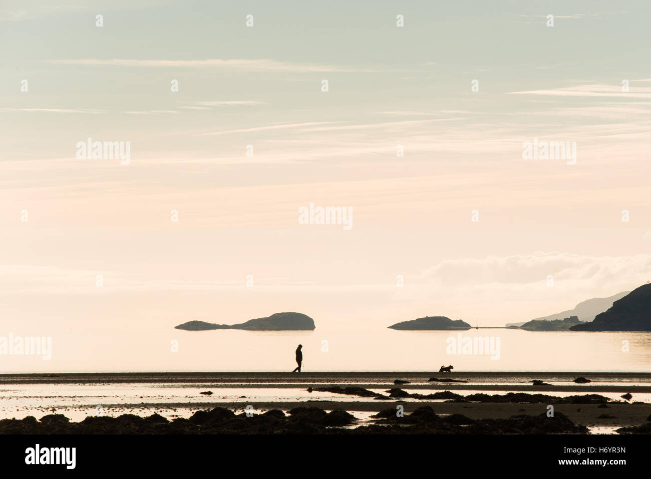 Women walking dog on beach silhouette against the warm sky Stock Photo