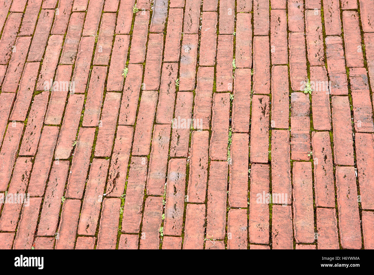 red brick paving in Cardiff bay Wales United Kingdom Stock Photo