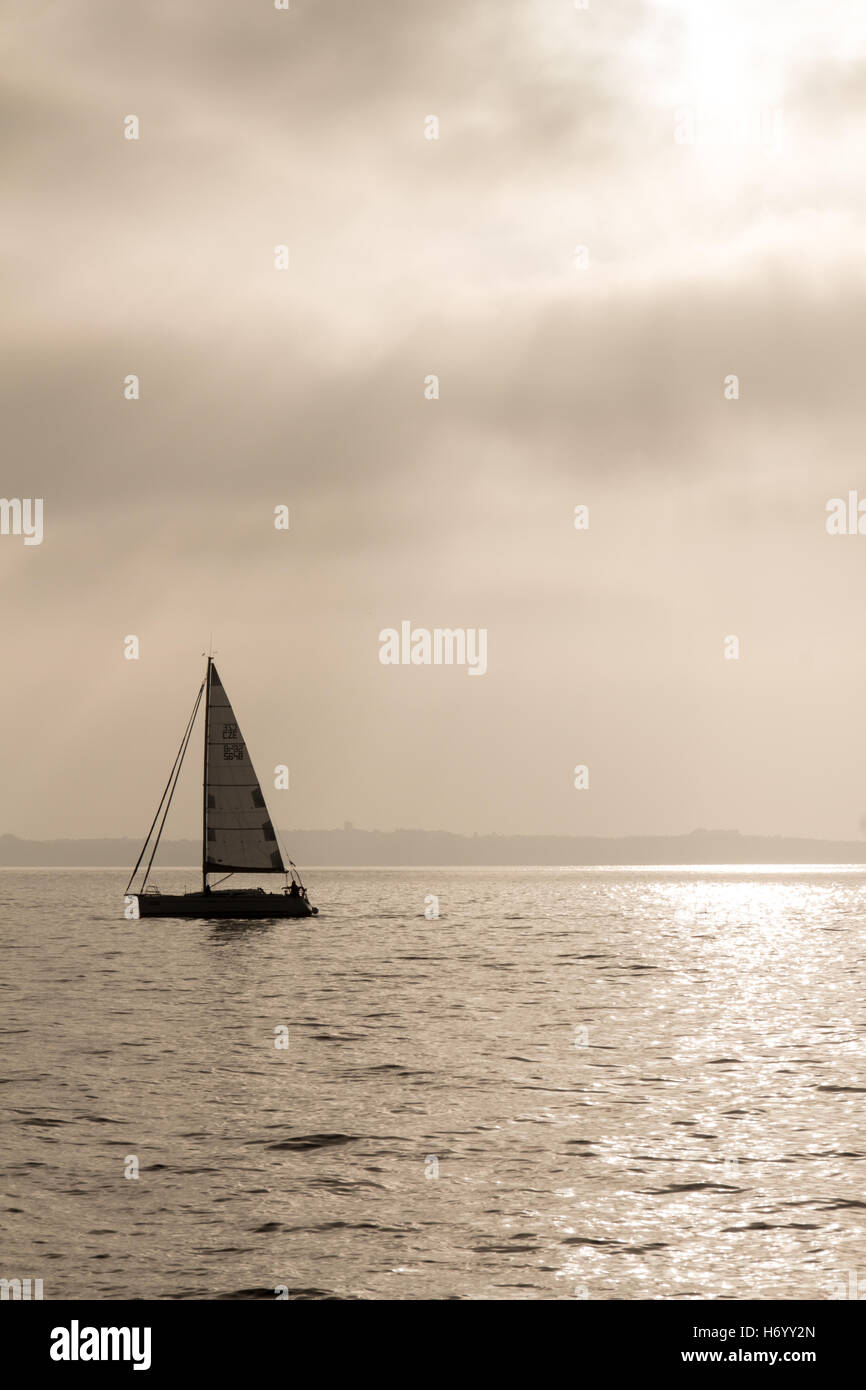 Sailing yacht lit by the sun in the Adriatic Sea in the afternoon on a ...