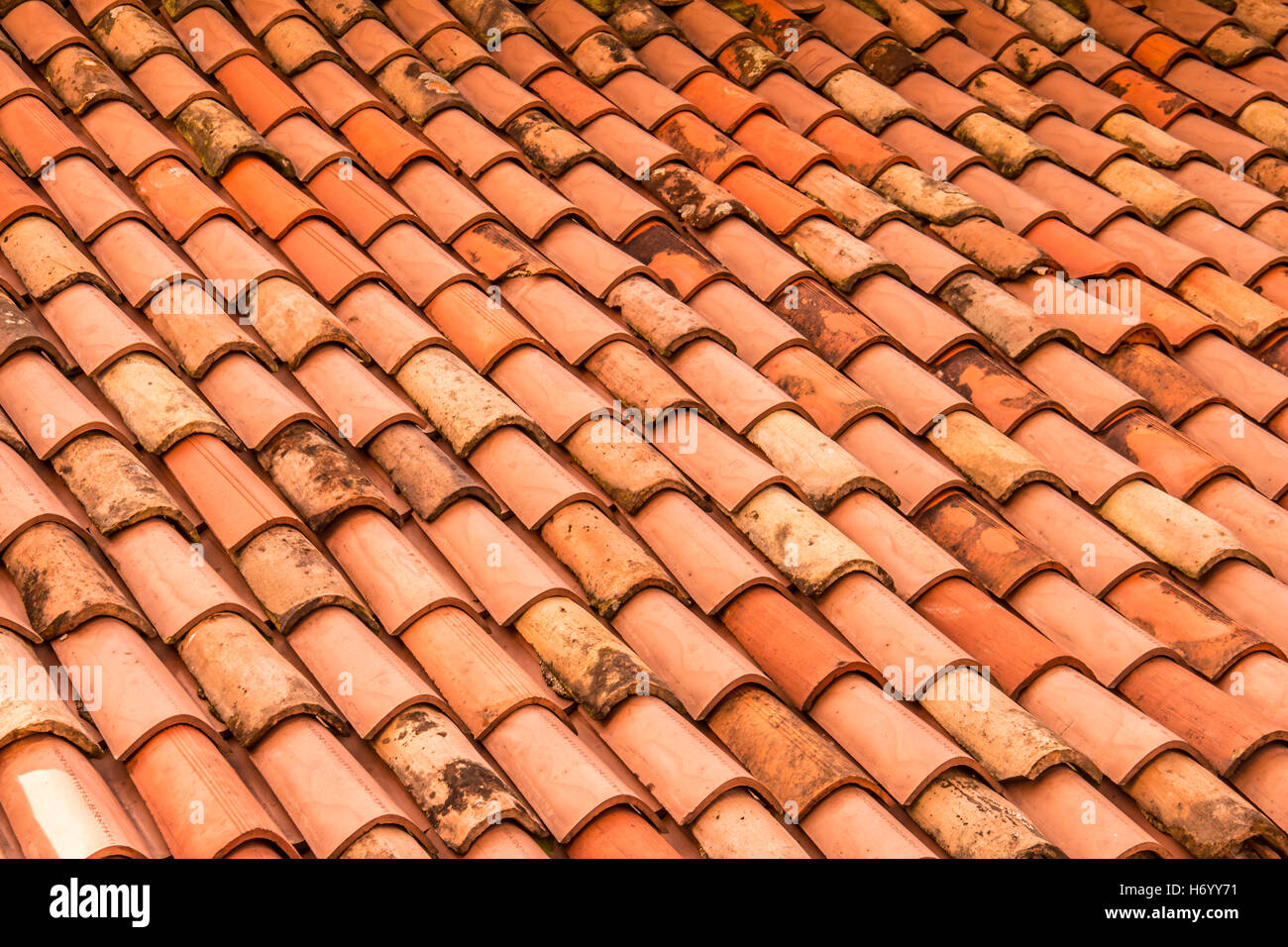 Red roof shingles. Italy Stock Photo